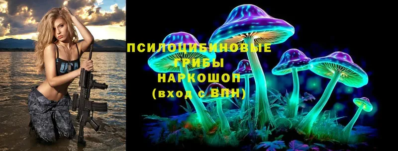 Галлюциногенные грибы MAGIC MUSHROOMS  наркота  kraken вход  Вичуга 